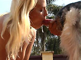 blonde sodomisee par son chien 3